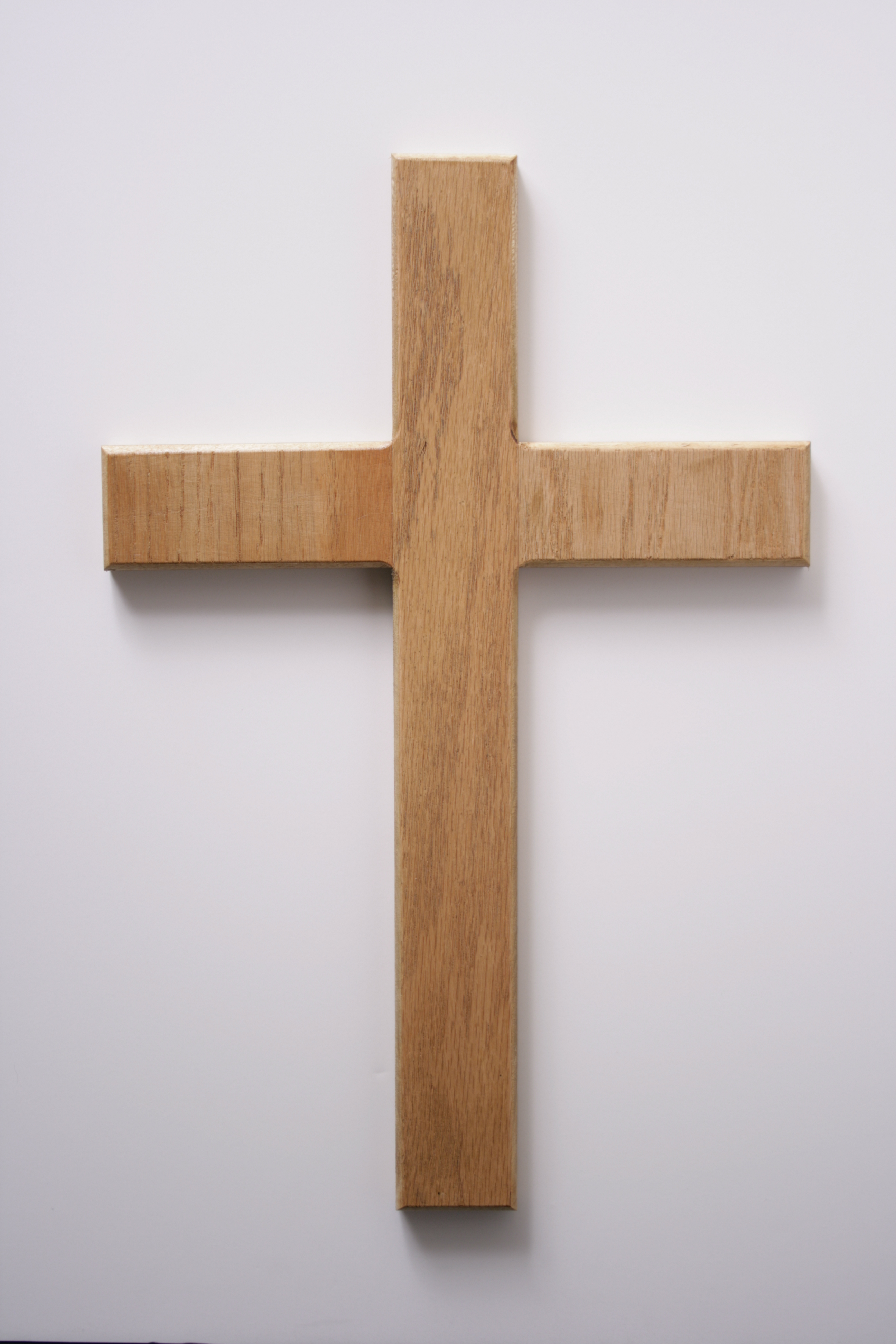 Oak_Veneer__Finished__Plywood__on_white